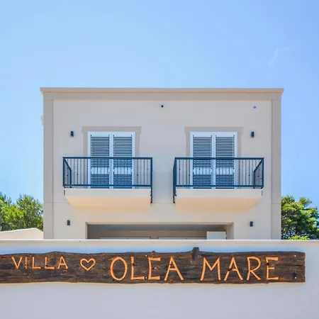 Gorgeous In * Veli Rat